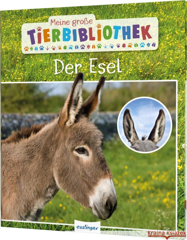 Meine große Tierbibliothek: Der Esel Gutjahr, Axel 9783480236329 Esslinger in der Thienemann-Esslinger Verlag  - książka