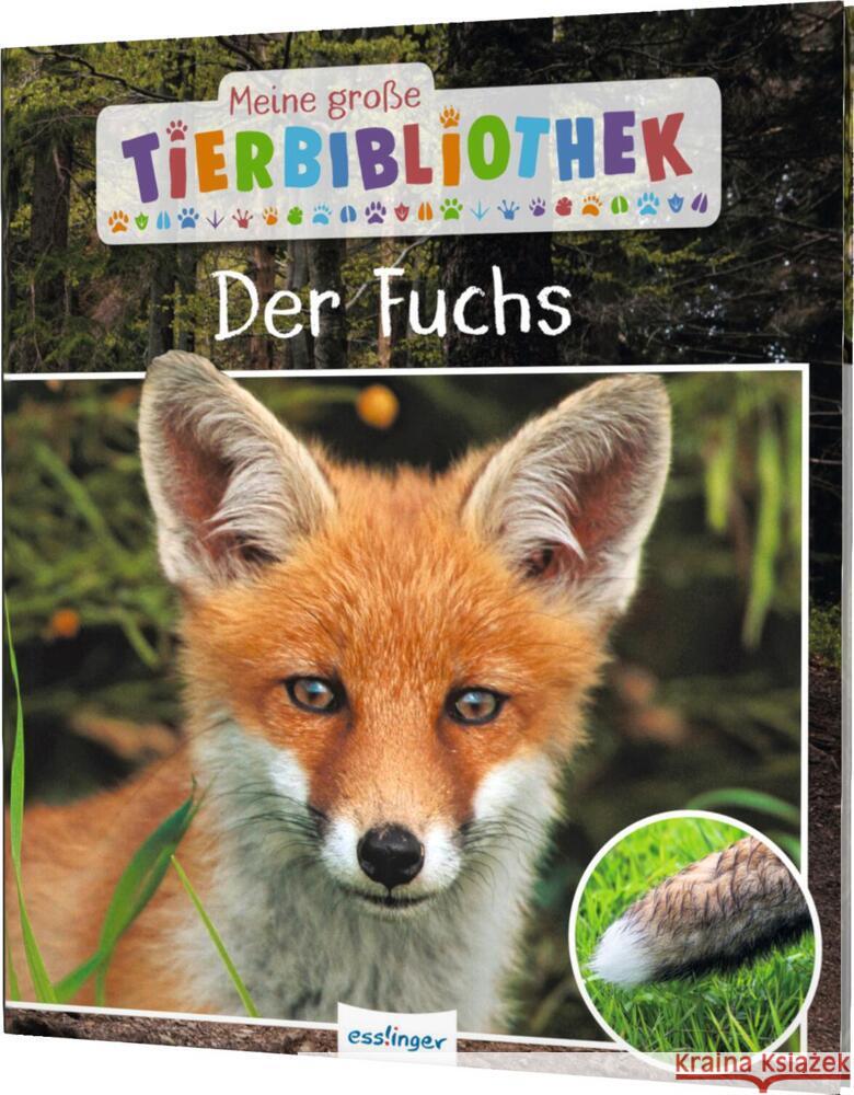 Meine große Tierbibliothek: Der Fuchs Havard, Christian 9783480236565 Esslinger in der Thienemann-Esslinger Verlag  - książka