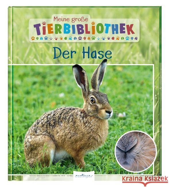 Meine große Tierbibliothek: Der Hase Poschadel, Jens 9783480236251 Esslinger in der Thienemann-Esslinger Verlag  - książka