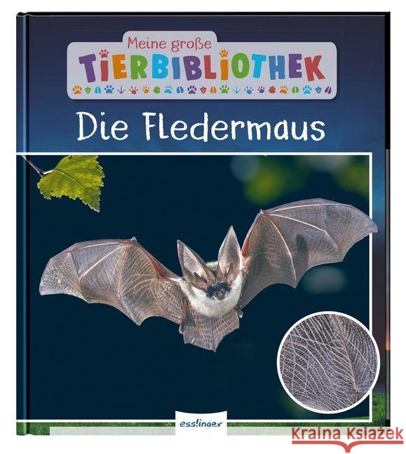 Meine große Tierbibliothek: Die Fledermaus Poschadel, Jens; Möller, Antje 9783480236220 Esslinger in der Thienemann-Esslinger Verlag  - książka