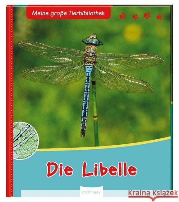 Meine große Tierbibliothek: Die Libelle Gutjahr, Axel 9783480233885 Esslinger - książka