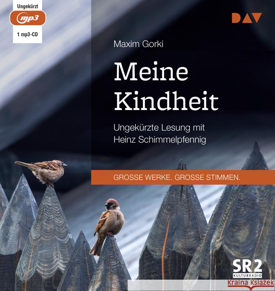 Meine Kindheit, 1 Audio-CD, 1 MP3 Gorki, Maxim 9783742423535 Der Audio Verlag, DAV - książka