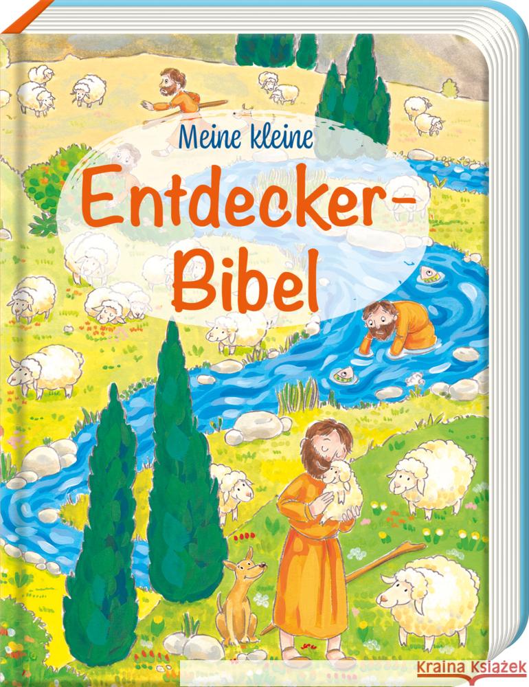 Meine kleine Entdecker-Bibel Danner, Eva 9783766637109 Butzon & Bercker - książka