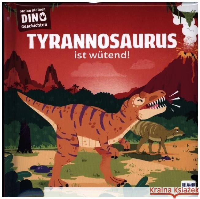 Meine kleinen Dinogeschichten - Tyrannosaurus ist wütend Frattini, Stéphane 9783741527463 Ullmann Medien - książka