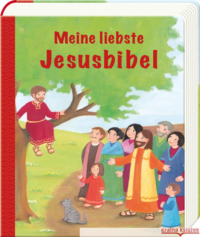 Meine liebste Jesusbibel Janusch, Cordula 9783766629586 Butzon & Bercker - książka