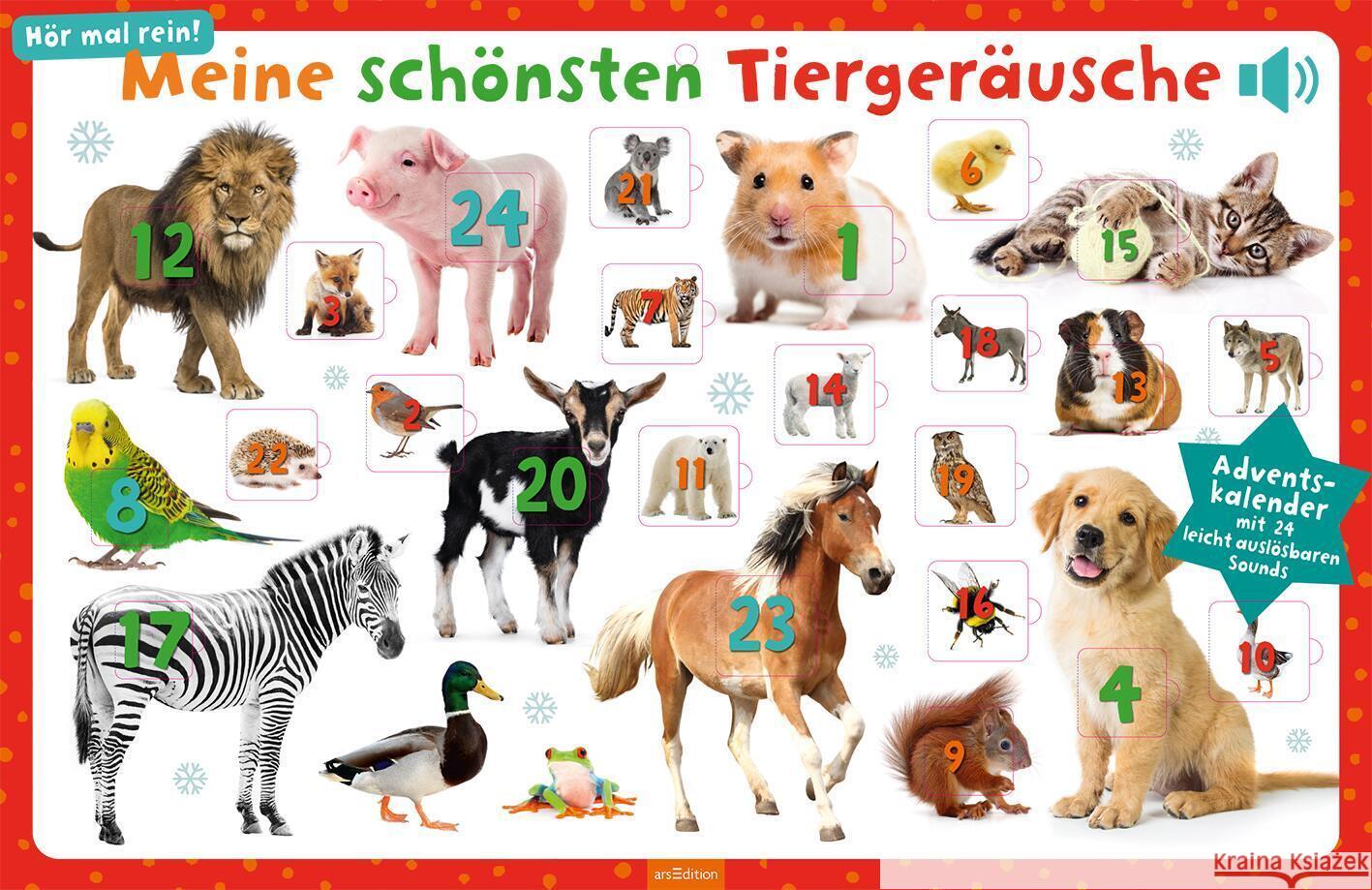 Meine schönsten Tiergeräusche  4014489127390 ars edition - książka