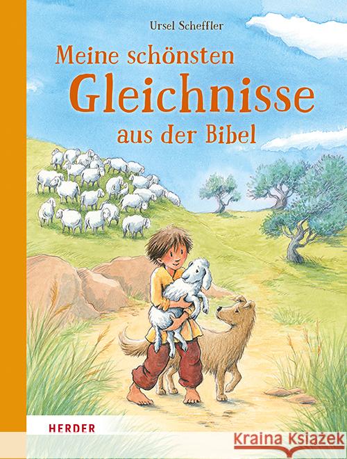 Meine Schonsten Gleichnisse Aus Der Bibel Ursel Scheffler Franziska Harvey 9783451715914 Verlag Herder - książka