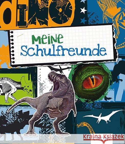 Meine Schulfreunde - Dinosaurier Giebichenstein, Cornelia 9783817421411 Compact - książka