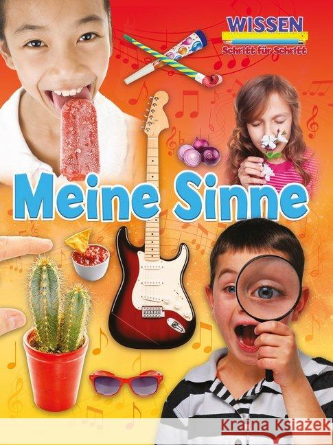 Meine Sinne : Mit digitalem Zusatzangebot Owen, Ruth 9789463413831 Ars Scribendi - książka