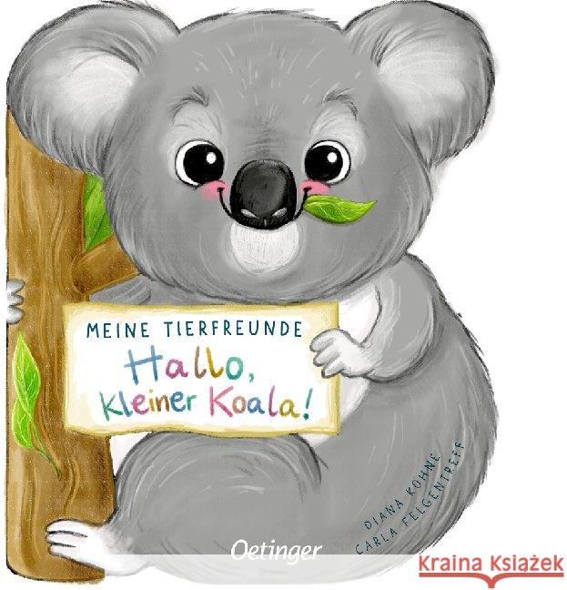 Meine Tierfreunde. Hallo, kleiner Koala! Felgentreff, Carla 9783751200219 VFO - książka