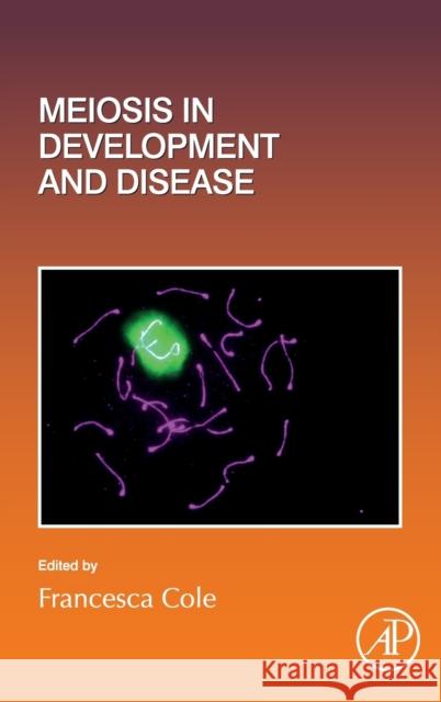 Meiosis in Development and Disease: Volume 151 Cole, Francesca 9780128201565 Elsevier Science Publishing Co Inc - książka