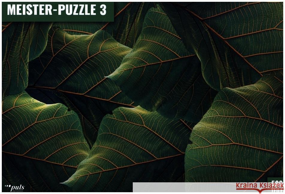 MEISTER-PUZZLE 3, Blätter (Puzzle) Reger, Gerd 4031288111443 puls entertainment - książka