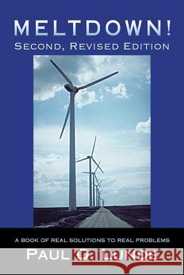 Meltdown! Second, Revised Edition: A Book of Real Solutions to Real Problems Lunde, Paul D. 9781475982855 iUniverse.com - książka