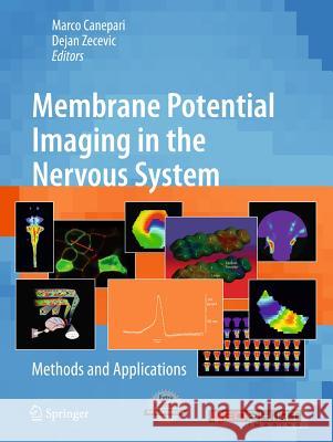 Membrane Potential Imaging in the Nervous System: Methods and Applications Canepari, Marco 9781441965578 Not Avail - książka