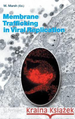 Membrane Trafficking in Viral Replication Mark Marsh 9783540214304 Springer-Verlag Berlin and Heidelberg GmbH &  - książka