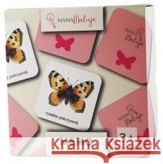 Memo motyle  5904673762799 Mama Maluje - książka