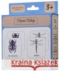 Memo Owady  5904665279397 Mama Maluje - książka
