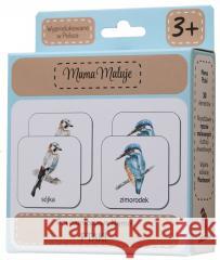 Memo Ptaki  5904673762119 Mama Maluje - książka