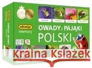 Memory - Owady i pająki Polski  5902410007868 Adamigo - książka