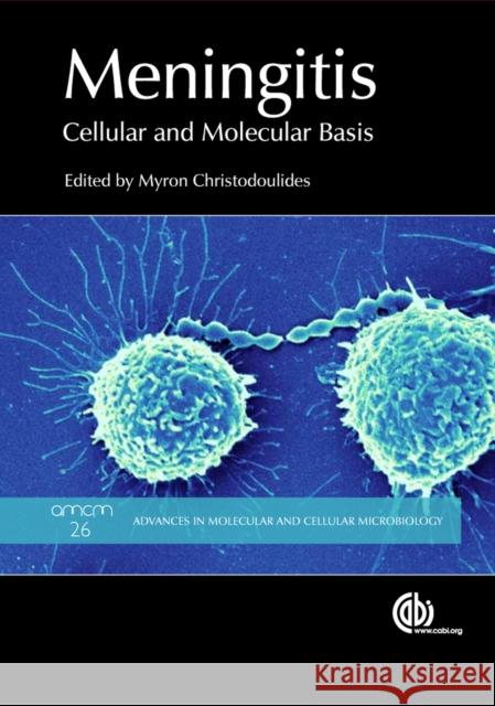 Meningitis: Cellular and Molecular Basis Christodoulides, Myron 9781780641621 CABI Publishing - książka