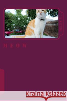 Meow  9781519743121 Createspace Independent Publishing Platform - książka