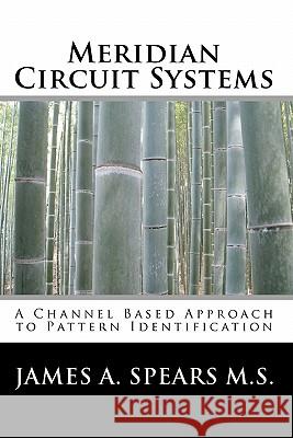 Meridian Circuit Systems: A Channel Based Approach to Pattern Identification James A. Spear 9781453784204 Createspace - książka