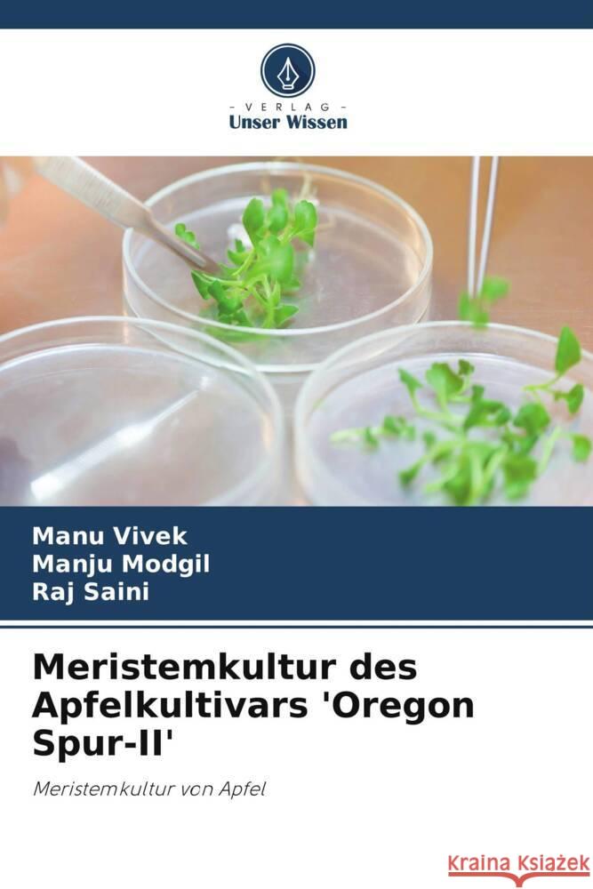 Meristemkultur des Apfelkultivars 'Oregon Spur-II' Vivek, Manu, Modgil, Manju, Saini, Raj 9786204992297 Verlag Unser Wissen - książka