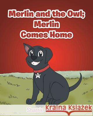 Merlin and the Owl: Merlin Comes Home Sharrie Garbisch 9781646704446 Covenant Books - książka