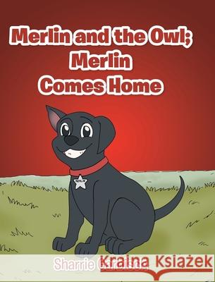 Merlin and the Owl: Merlin Comes Home Sharrie Garbisch 9781646704453 Covenant Books - książka