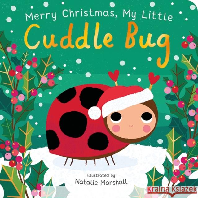 Merry Christmas, My Little Cuddle Bug Edwards, Nicola 9781838918460 Little Tiger Press Group - książka