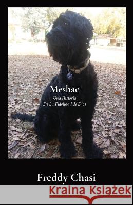 Meshac: Una Historia de la Fidelidad de Dios Freddy Chasi Mary Ann Garrett 9781940050058 Weaver Inspirations - książka