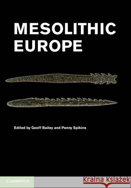 Mesolithic Europe Geoff Bailey Penny Spikins 9780521147972 Cambridge University Press - książka