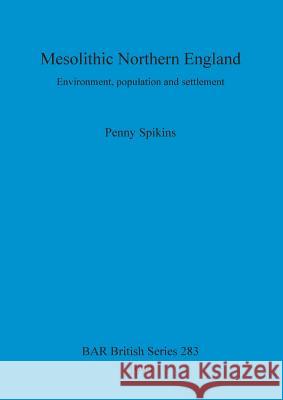 Mesolithic Northern England: Environment, population and settlement Spikins, Penny 9781841710068 Archaeopress - książka