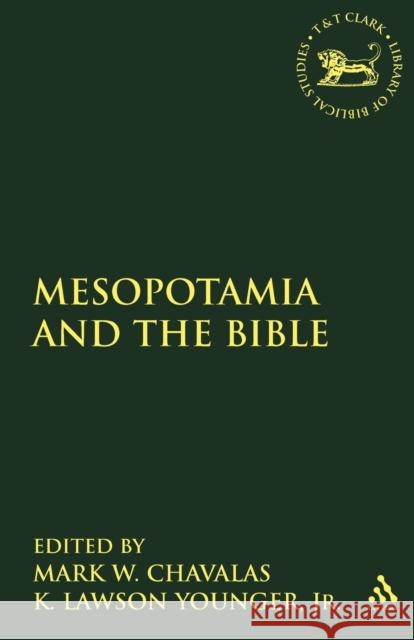 Mesopotamia and the Bible  9780567082312 Continuum International Publishing Group - Sh - książka
