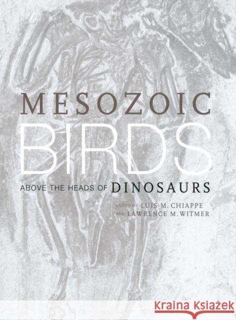 Mesozoic Birds: Above the Heads of Dinosaurs Chiappe, Luis M. 9780520200944 University of California Press - książka