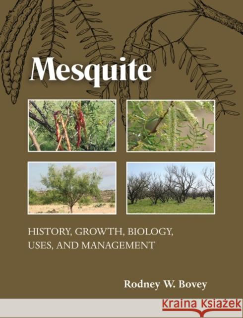 Mesquite: History, Growth, Biology, Uses, and Management Rodney W. Bovey 9781623494285 Texas A&M University Press - książka