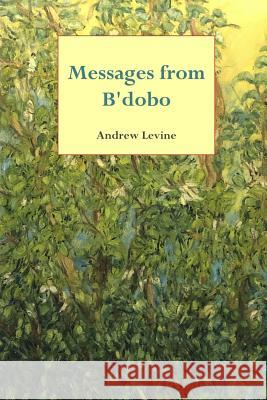 Messages from B'dobo Andrew Levine 9780359354337 Lulu.com - książka