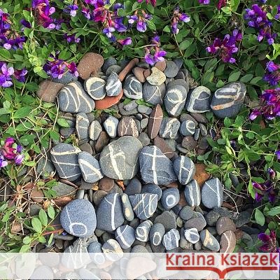 Messages from the Earth Molly J. Montgomery 9781977853790 Createspace Independent Publishing Platform - książka