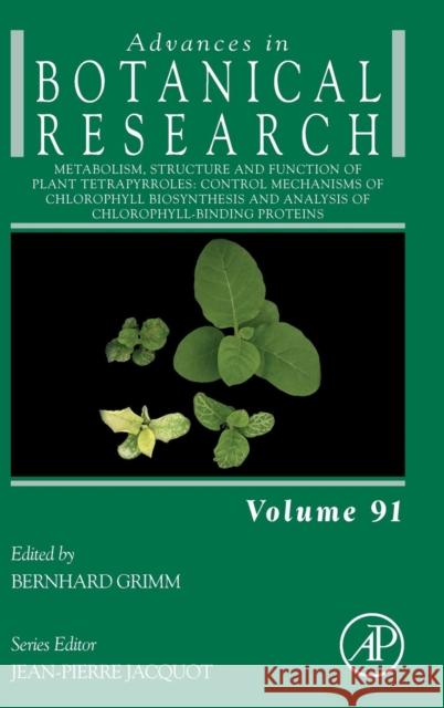 Metabolism, Structure and Function of Plant Tetrapyrroles: Control Mechanisms of Chlorophyll Biosynthesis and Analysis of Chlorophyll-Binding Proteins Bernhard Grimm 9780128199824 Academic Press - książka