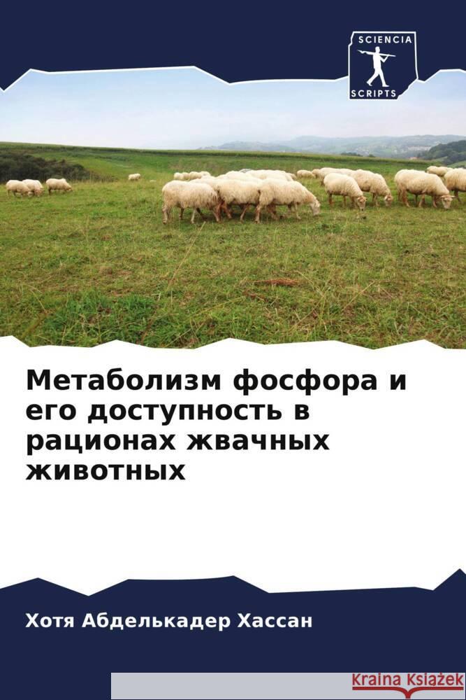 Metabolizm fosfora i ego dostupnost' w racionah zhwachnyh zhiwotnyh Hassan, Hotq Abdel'kader 9786205238240 Sciencia Scripts - książka