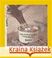 Metafyzická trilogie S. d. Ch. 9788087705964 RUBATO - książka