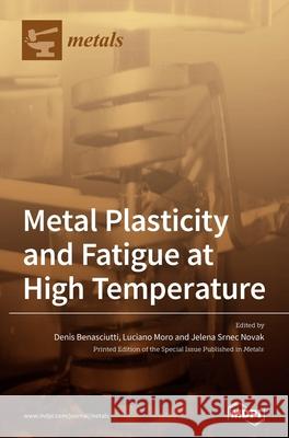 Metal Plasticity and Fatigue at High Temperature Jelena Srnec Novak Denis Benasciutti Luciano Moro 9783039287703 Mdpi AG - książka