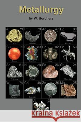 Metallurgy W. Borchers   9781614740063 Sylvanite - książka