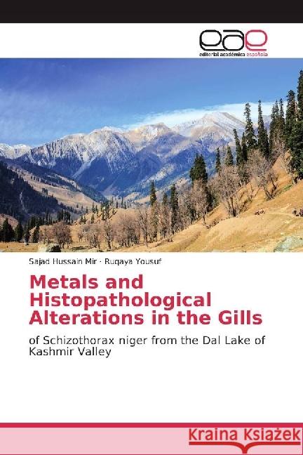 Metals and Histopathological Alterations in the Gills : of Schizothorax niger from the Dal Lake of Kashmir Valley Mir, Sajad Hussain; Yousuf, Ruqaya 9783841766007 Editorial Académica Española - książka
