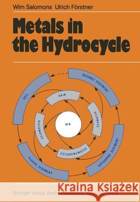 Metals in the Hydrocycle Wim Salomons U. F 9783642693274 Springer - książka