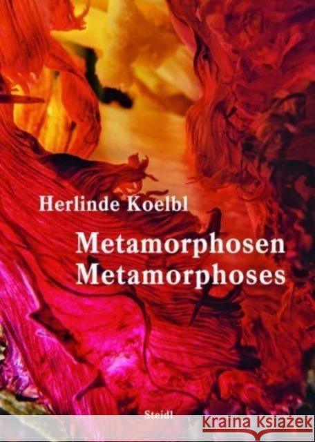 Metamorphosen / Metamorphoses Koelbl, Herlinde 9783969991213 Steidl - książka