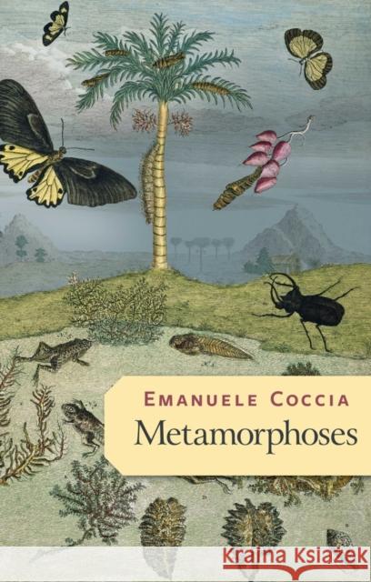 Metamorphoses Emanuele Coccia Robin MacKay 9781509545674 John Wiley and Sons Ltd - książka