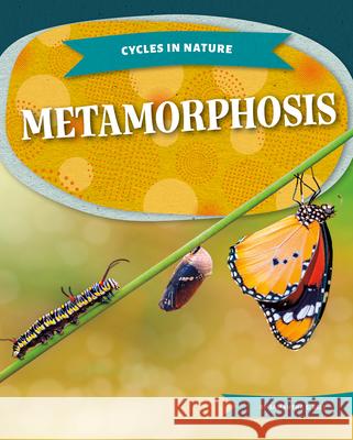 Metamorphosis Samantha S. Bell 9781098298647 Kids Core - książka