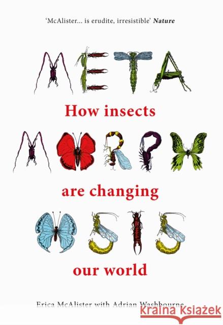 Metamorphosis: How insects are changing our world Adrian Washbourne 9780565095567 The Natural History Museum - książka