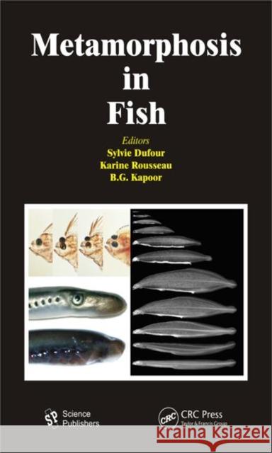 Metamorphosis in Fish Sylvie Dufour Karine Rousseau B. G. Kapoor 9781578087136 Science Publishers - książka